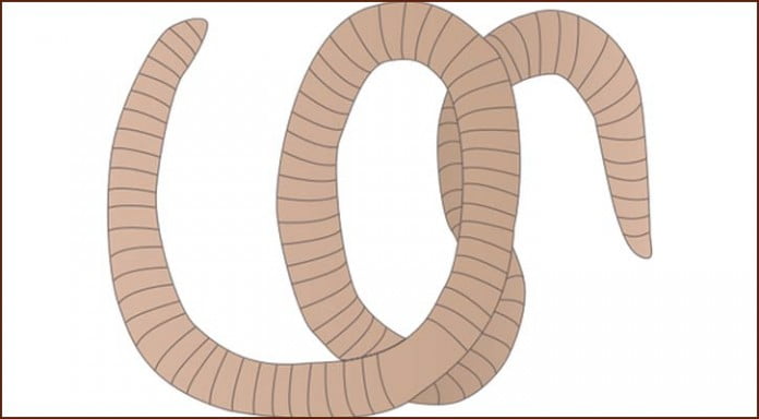 194190