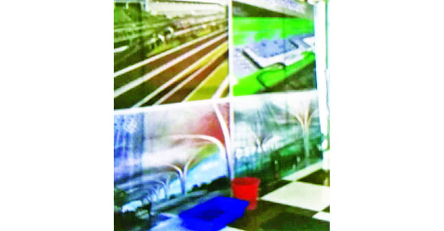 217591