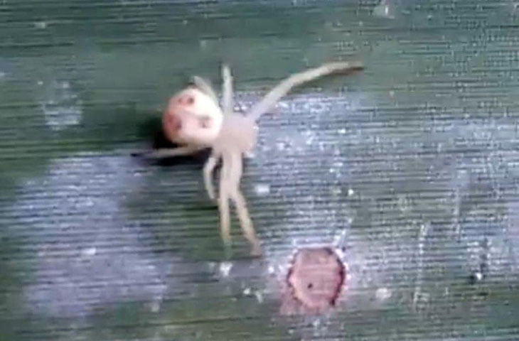 246553