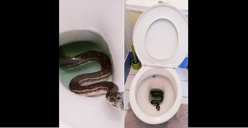 251930