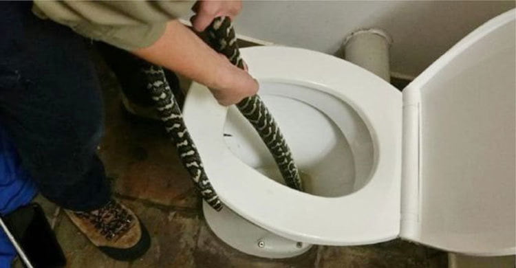 253226