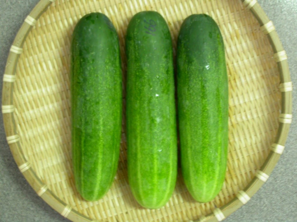 263542