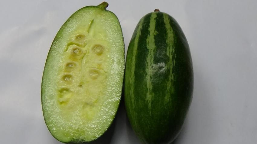 258636