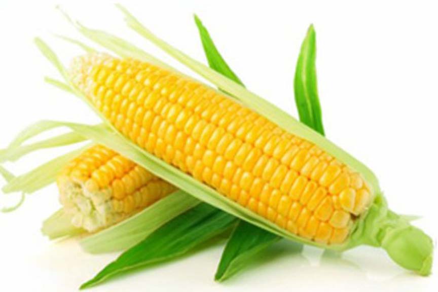 262340