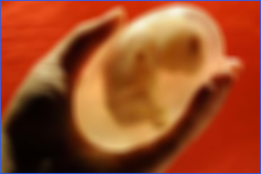 279730