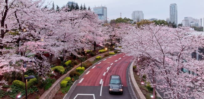 305854