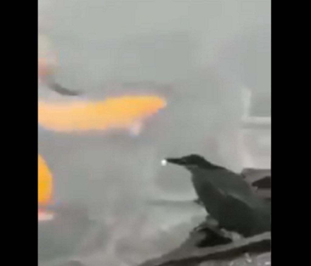 336190